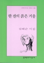 한 잔의 붉은 거울(문학과지성사 빅이벤트 288)